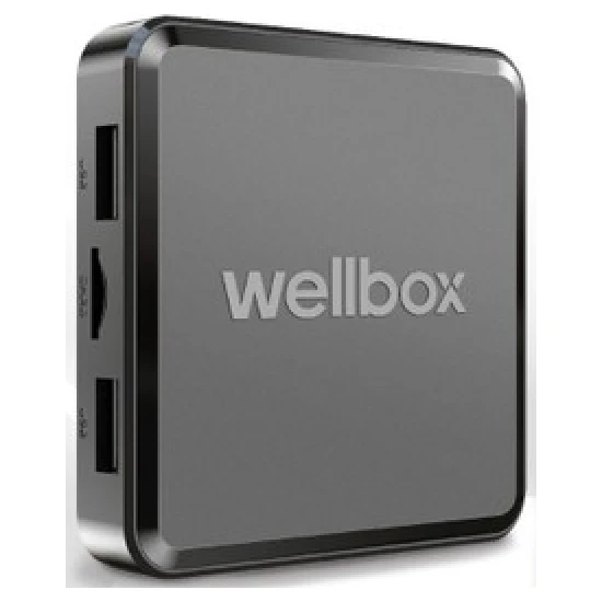 Wellbox Android 12 Wellbox Max2 Android TV Box TVbox IpTV Media Player 2gb Ram 16GB Hafıza Android 12