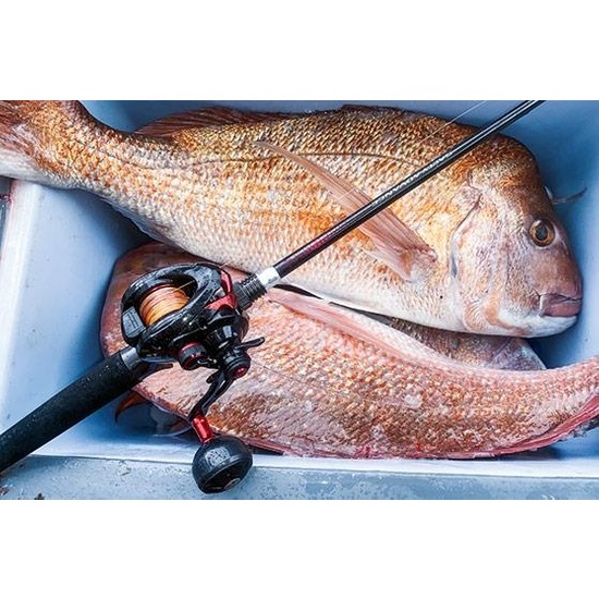 Shimano Genpu Xt 151 Left Hand SHIMANO GENPU XT 151 Left