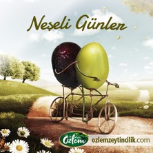 By Özlem Zeytin Gold 2 Kg Teneke Siyah Zeytin (231-260 klb)