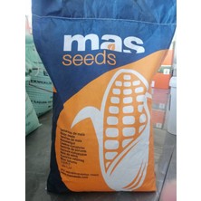Mas Seeds Mas 59-K Mısır Tohumu