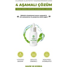 PEKAH Peptit içeren Canlandırıcı Yağ-Nem Dengesini Düzenleyici  Yatıştırıcı Serum 50ml