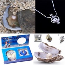 Home Dekor Hediye Sevgililer Günü Gerçek Inci Kolye Istiridye Içinden Çıkan Gerçek Inci Kolye Set Sevgiliye Şık Hediye