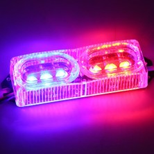 Cuticate LED Motosiklet Uyarı Fren Kuyruğu Stop Strobe Flaş Acil Durum Işık Lambası (Yurt Dışından)