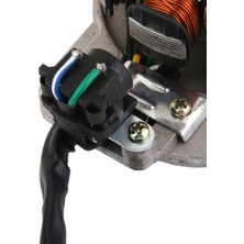 Wetnwind PZ19 Karbüratör Karbonhidrat + Magneto Stator Atv Kir Bisikleti Boğulması (Yurt Dışından)