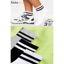 Esinti Erkek Patik Çorap Kadın Çorap Patik Renkli Koşu Çorap Spor Çorabı 3 Adet