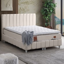 Setay Narva Tek Kişilik Baza Başlık ve Real Pedli Yatak Seti - Krem