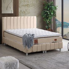 Setay Narva Tek Kişilik Baza Başlık ve Real Pedli Yatak Seti - Bej