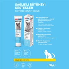 Kıkı Excellent Kedi Kitten Paste Macun 50 Gr. KC304