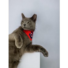 Anchor Red Kedi Bandana, Fular, Kedi Kıyafeti Kedi Elbisesi