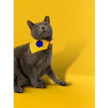 Yellow Blue Kedi Bandana, Fular, Kedi Kıyafeti Kedi Elbisesi