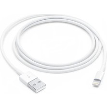 Gjob iPad Mini 3 Uyumlu Lightning - USB Kablosu (1 Metre)