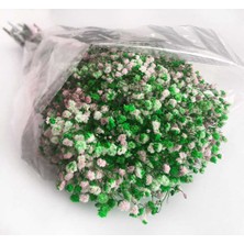 Hayaller Dükkanı Çiçek Doğal Cipso Pk:50 gr Yeşil