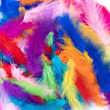 Webcenter 100 Adet Kuş Tüyleri Hobi Aksesuar Süs Malzemeleri  ( Kırmızı )