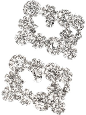 2x Rhinestone Ayakkabı Klipler Gelin Ayakkabı Cazibesi Aksesuarları Düğün Dekoru Gümüş (Yurt Dışından)