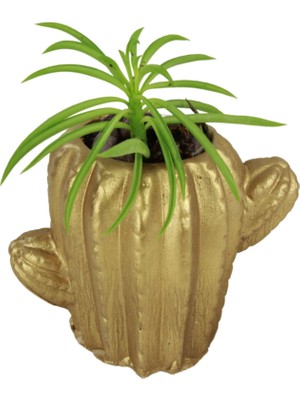 Dekoratif Saksı Minik Kaktüs Saksısı Kaktüs Model