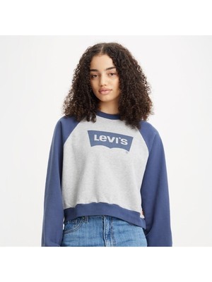 Vintage Raglan Crewneck Sweatshirt