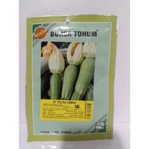 Bursa Tohum Bt Dolka Kabak