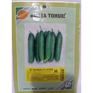 Bursa Tohum Btbursalfa Hıyar