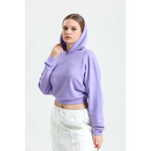 Lila Kapüşonlu Crop Sweatshirt