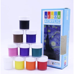 Akrilik Boya 10 Renk 20 ml 1 Paket Akrilik Boya Seti 10'lu Ahşap Tuval Taş Ağaç Boyamalar Için Idea Boyama Seti