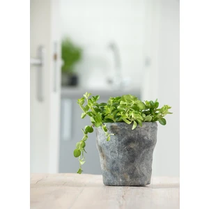 Via Gardenia Nature S Gri Seramik Saksı