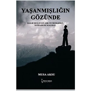Yaşanmışlığın Gözünde - Musa Aksu