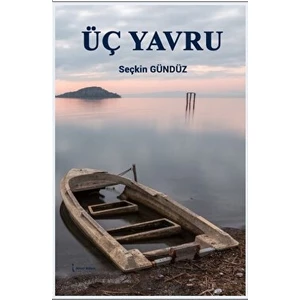 Üç Yavru - Seçkin Gündüz