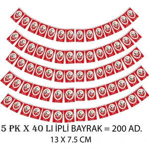Ipli Atalı Bayrak Orta Boy 13 x 7.5 - 5 Paket