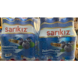 Yabanmersini  Aromalı Mineralli Gazlı İçecek 200 ml  x 24 Adet