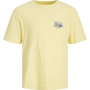 Jack & Jones Jorpalma Back Tee Ss Crew Neck Beyaz Erkek T-Shirt 12234270-Frenc