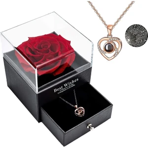 Su Shop Korunmuş Gerçek Gül ve Seni Seviyorum Kolye 100 Dilde Hediye Seti (Yurt Dışından)
