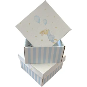 Koli Kolay Mavi Tavşan Baskılı Hediye Kutusu 17x17x9cm