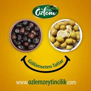 By Özlem Zeytin Çizik 10 kg Teneke Yeşil Zeytin(260-290 klb) Fiyatı