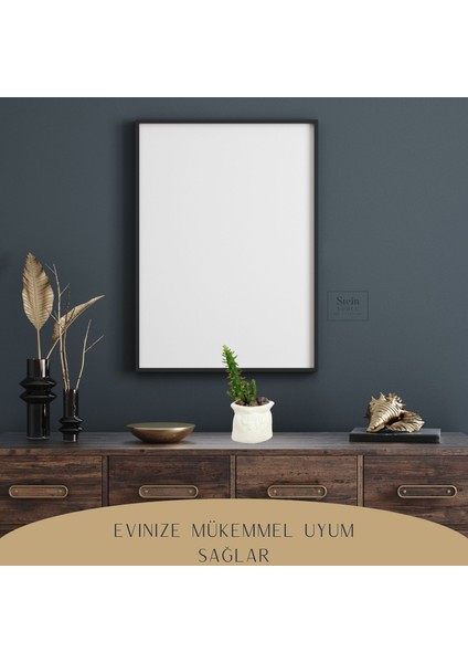 Dekoratif Saksı Minik Kaktüs Saksısı Kese Model