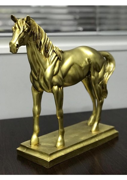 Dekoratif At Biblo Kaideli fırsatları