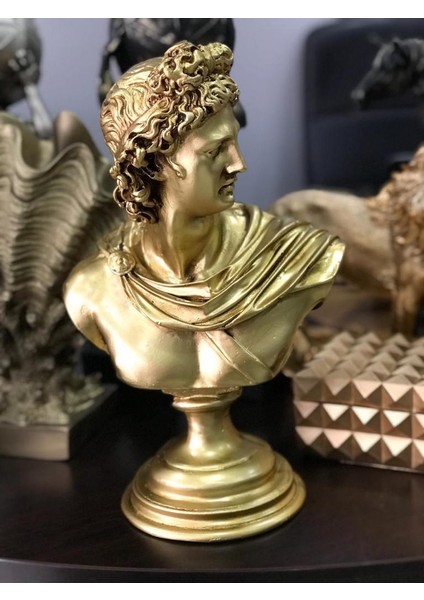 Apollo Büst Büyük Boy Heykel