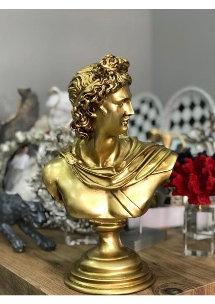 Apollo Büst Büyük Boy Heykel