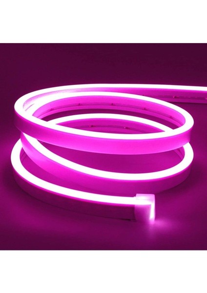 CT-4555 12V Pembe Neon LED Flexible 5 Metre