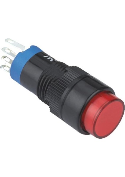 12MM Kalıcı Anahtar Yuvarlak 10-24V Yada 220V 5p