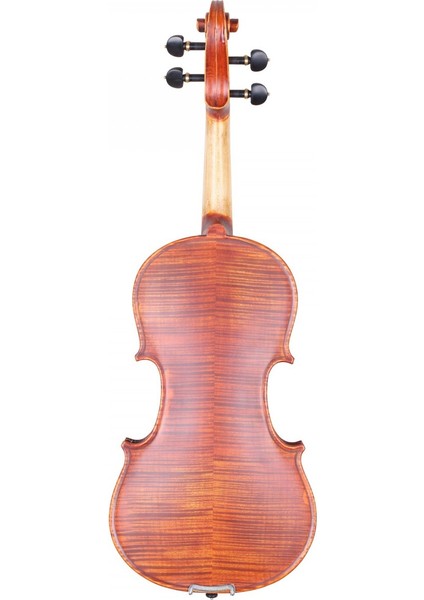 Vla6 - 4/4 Keman fiyatları