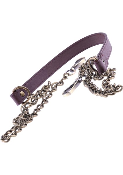 Zincir ve Deri Omuz Askısı Crossbody Çanta Kolu / Çanta / Çanta Değiştirme 47 "bronz (Yurt Dışından)