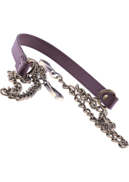 Zincir ve Deri Omuz Askısı Crossbody Çanta Kolu / Çanta / Çanta Değiştirme 47 "bronz (Yurt Dışından) fırsatları