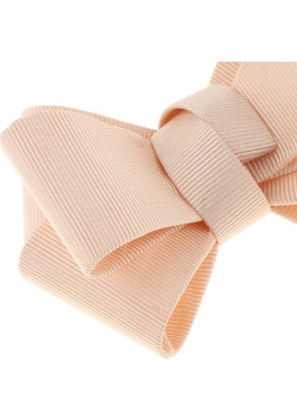 5xsmple Düz Şerit Yay Kelebek Yüksek Topuk Ayakkabı Klipler Takılar Dekorasyon 1 Pc Kayısı 5 Pcs (Yurt Dışından)