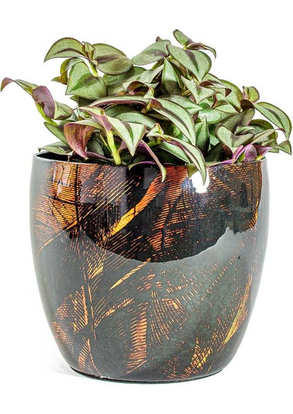 Vive Siyah Metal Saksı M 17X15 cm