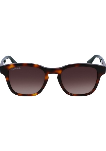 L986S-240 Lacoste Erkek Güneş Gözlüğü fiyatları