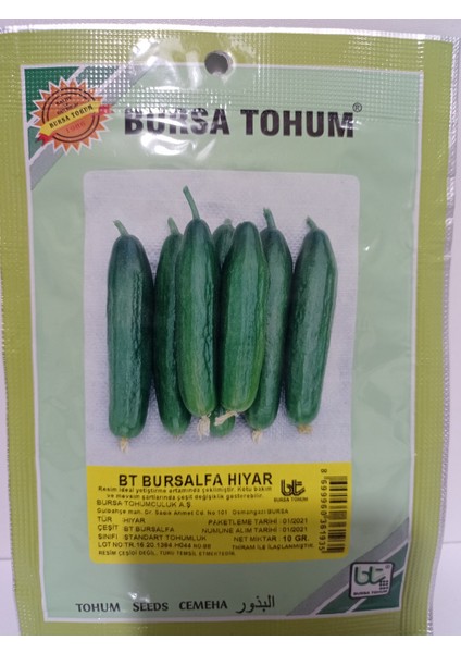 Bursa Tohum Btbursalfa Hıyar