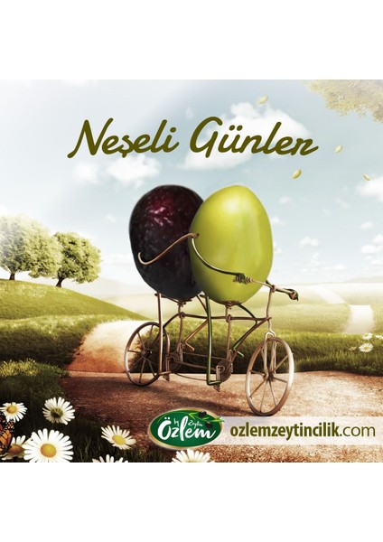 Zümrüt 2 kg Teneke Siyah Zeytin (351-380 klb)