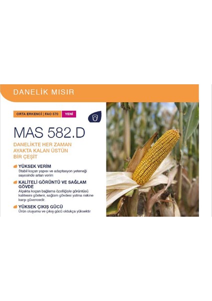 Mas Seeds Mas 582.D Mısır Tohumu