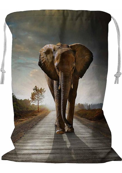 Çamaşır Sepeti (Yurt Dışından)