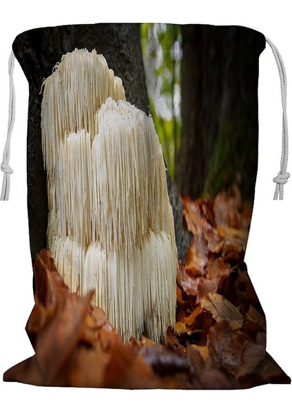 Çamaşır Sepeti (Yurt Dışından)